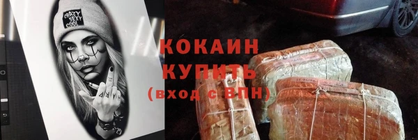 прущие грибы Пересвет