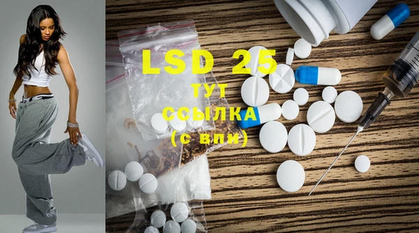 PSILOCYBIN Осташков