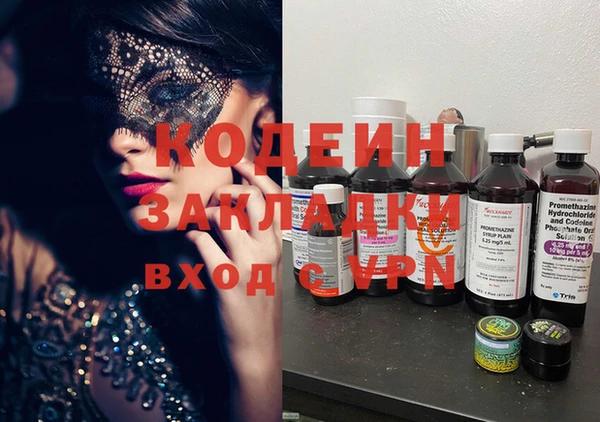 прущие грибы Пересвет