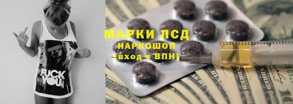 прущие грибы Пересвет