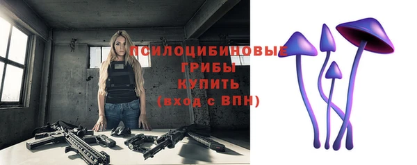 прущие грибы Пересвет
