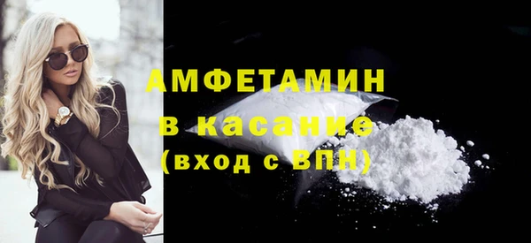 прущие грибы Пересвет