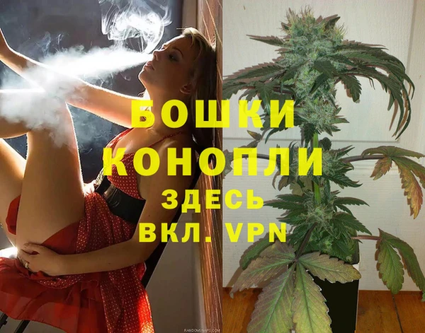 apvp Осинники