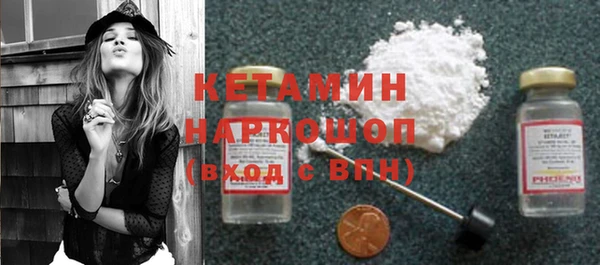 прущие грибы Пересвет