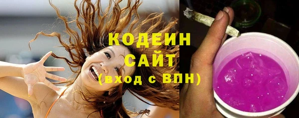 прущие грибы Пересвет