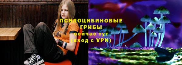 PSILOCYBIN Осташков