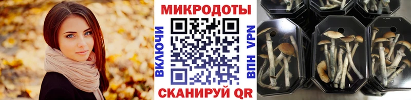 Псилоцибиновые грибы GOLDEN TEACHER  где купить   Ряжск 